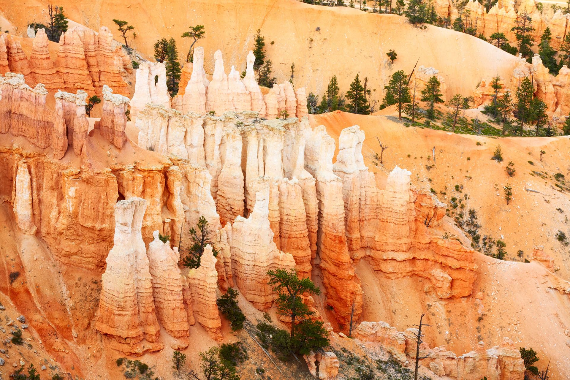 Bryce Canyon