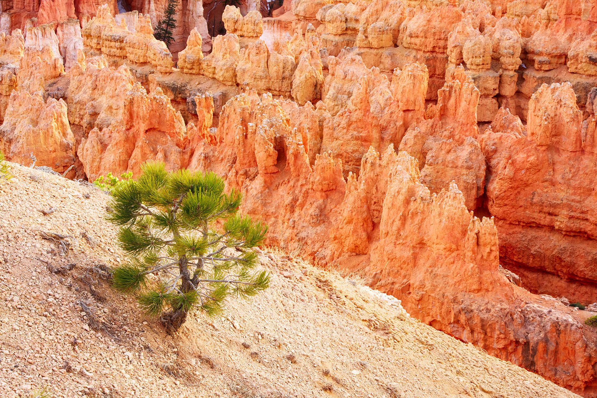 Bryce Canyon