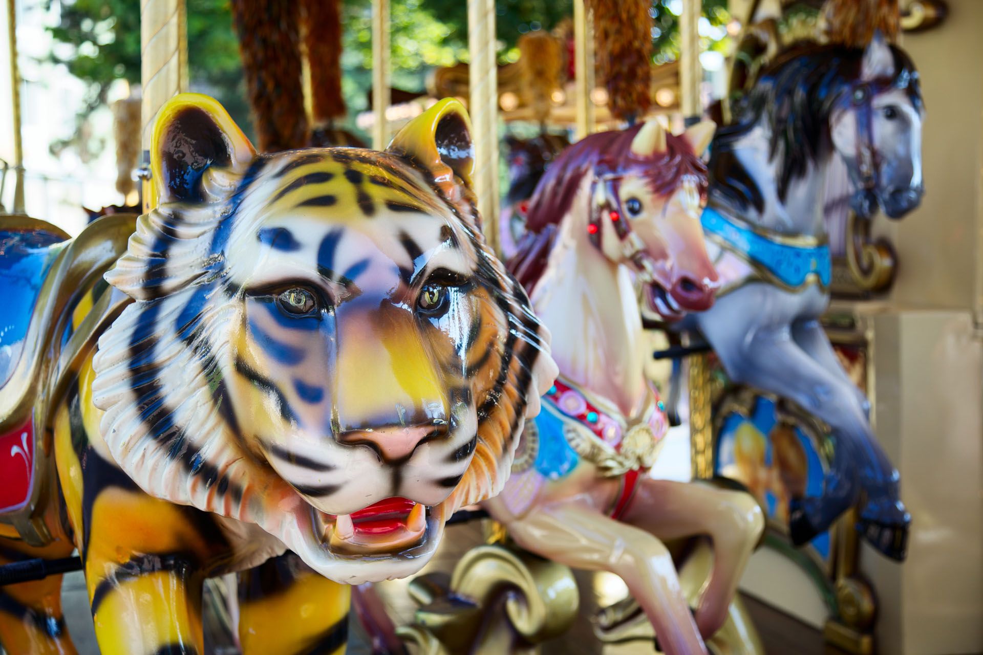 Giostra al luna park