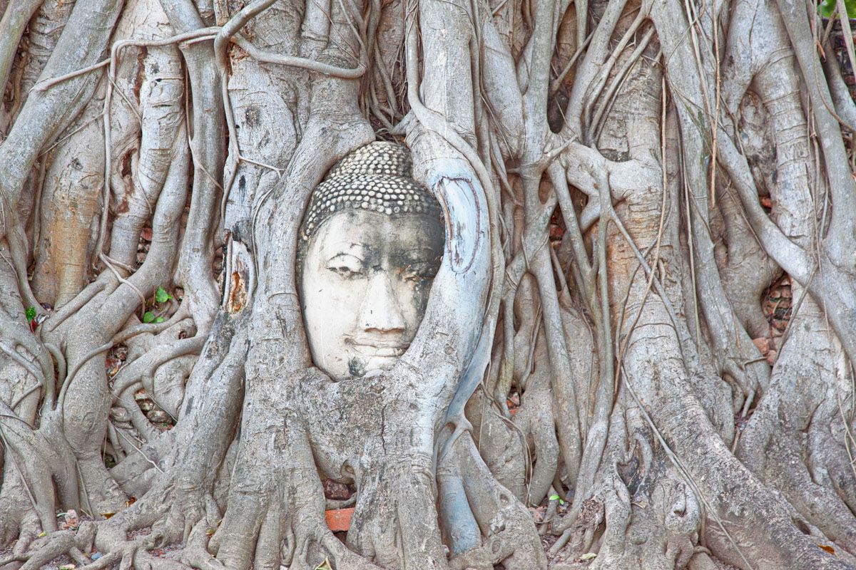 Ayutthaya