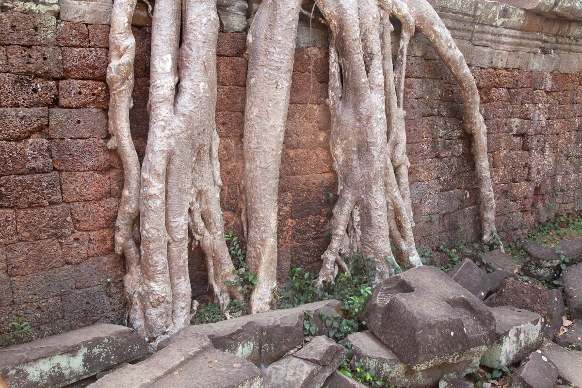 Angor Wat