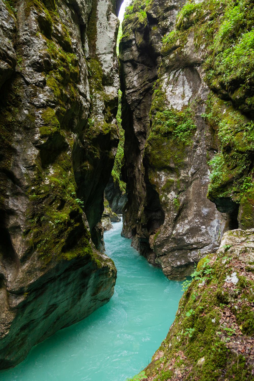 Gole di Tolmin