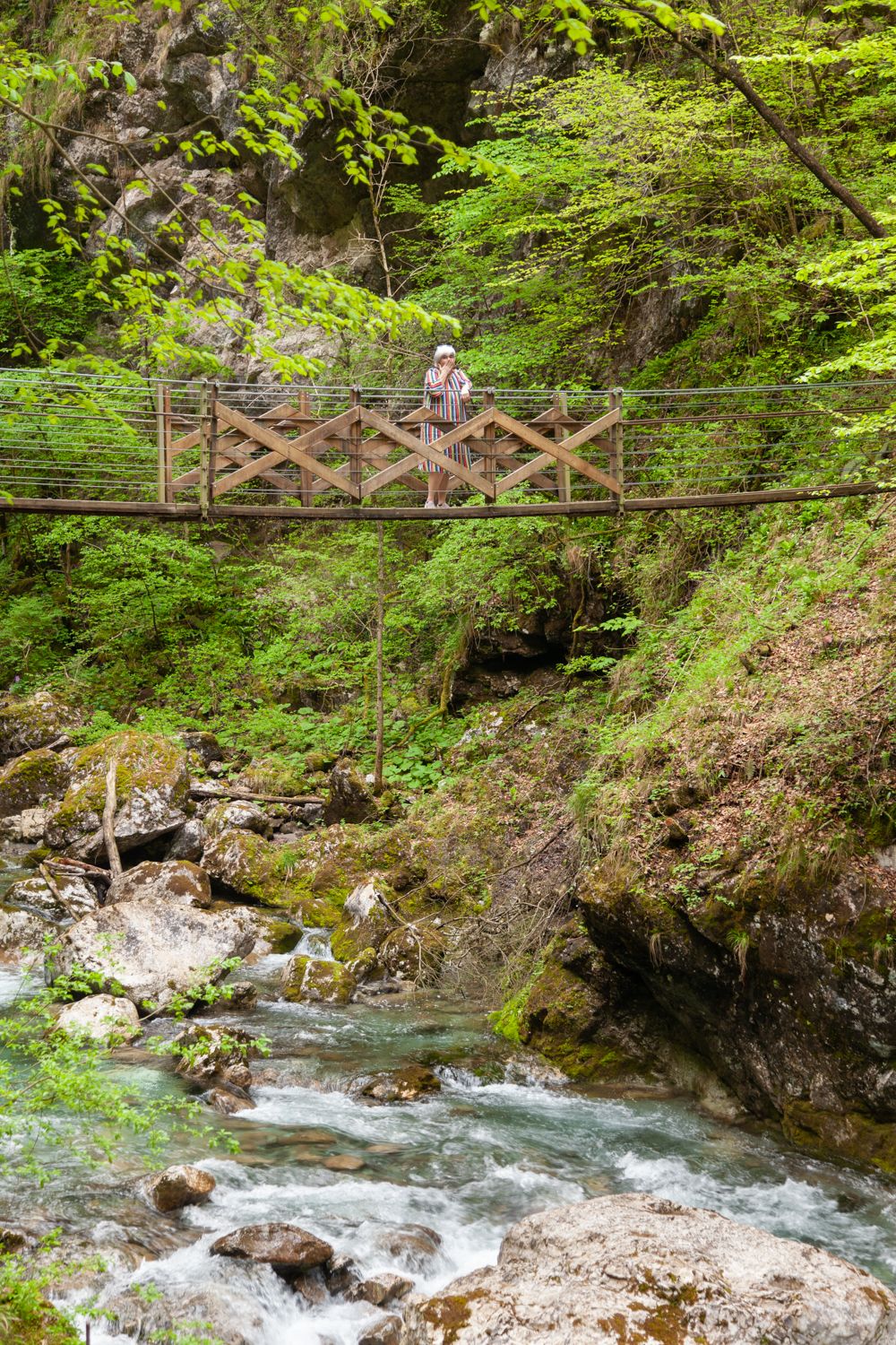 Gole di Tolmin