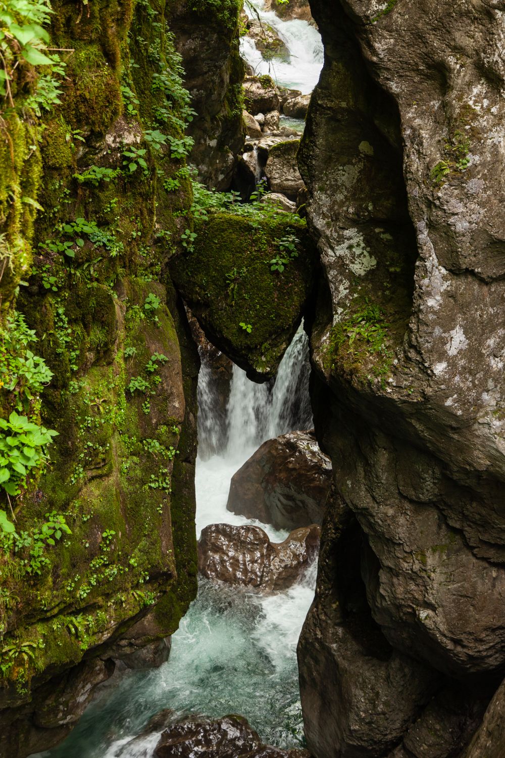 Gole di Tolmin