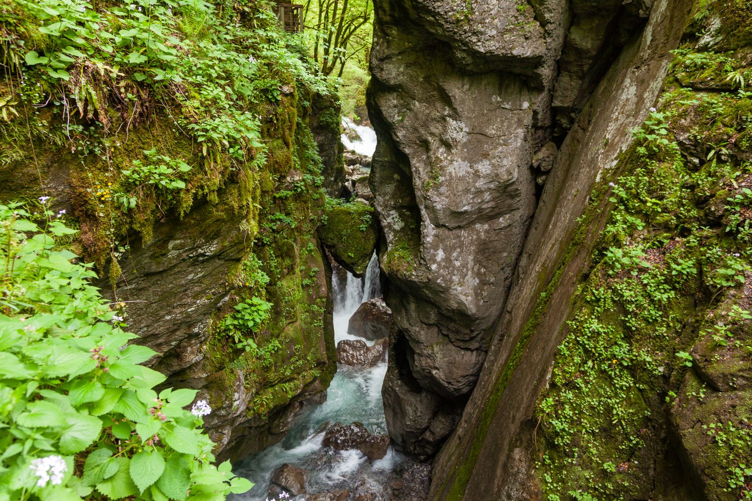 Gole di Tolmin