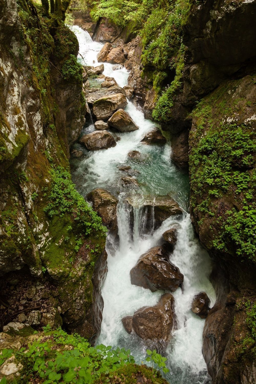 Gole di Tolmin