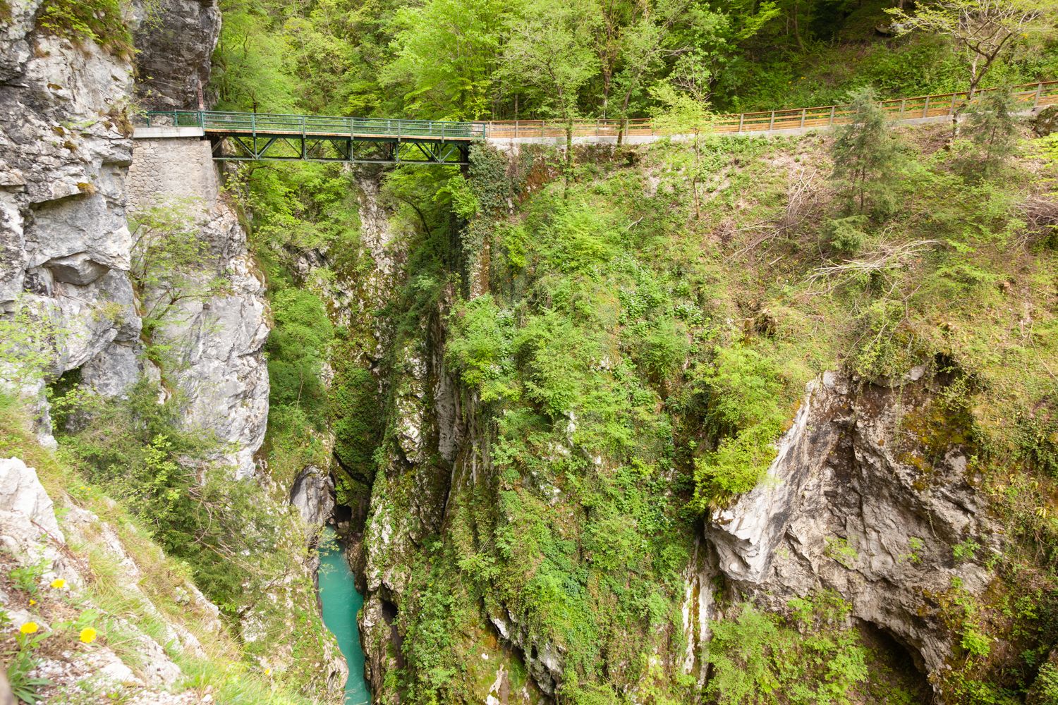 Gole di Tolmin