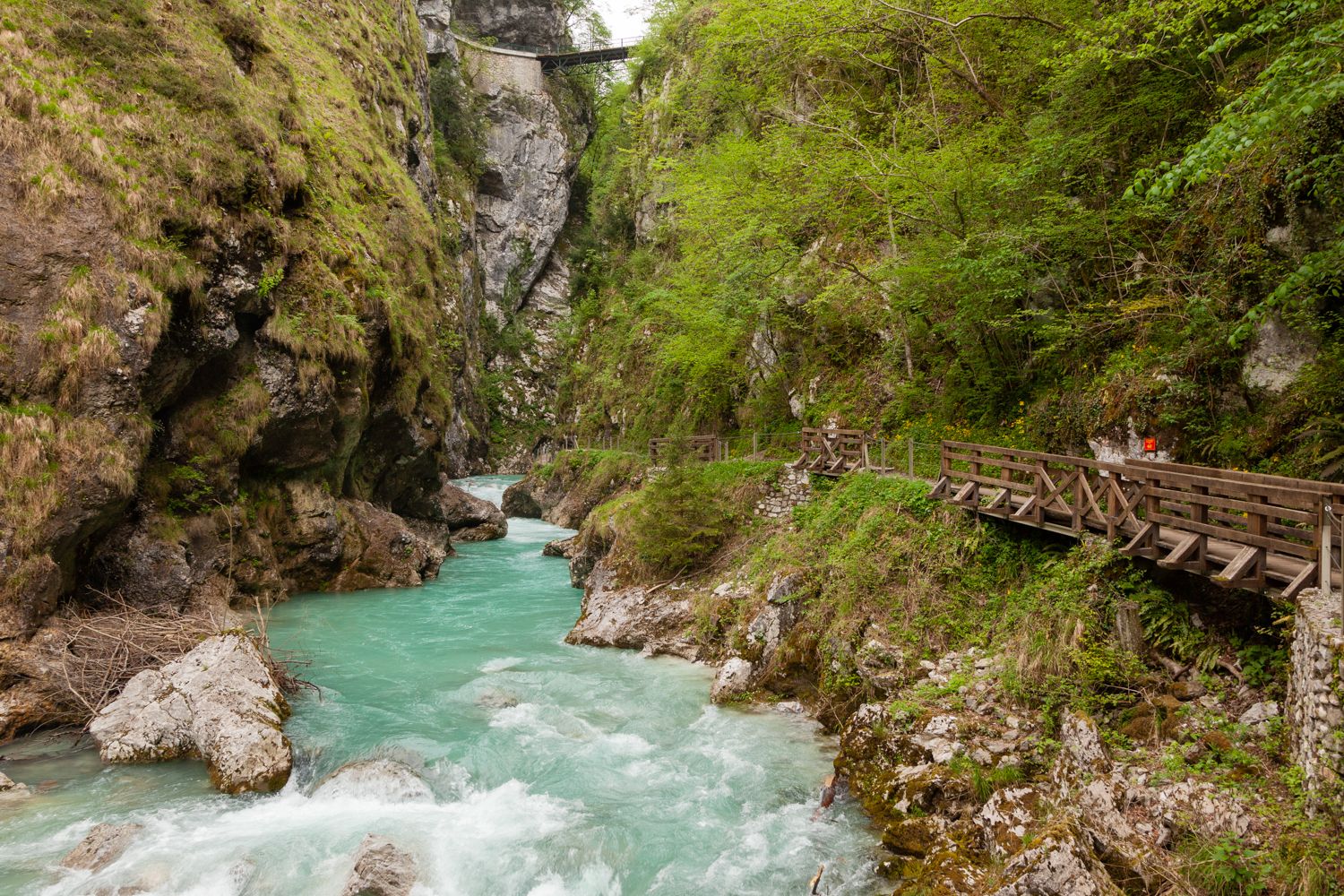 Gole di Tolmin