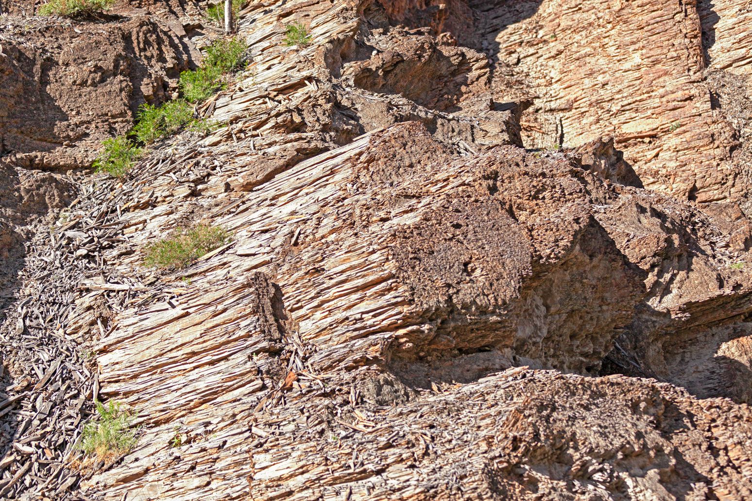 Al Hajar Mountains