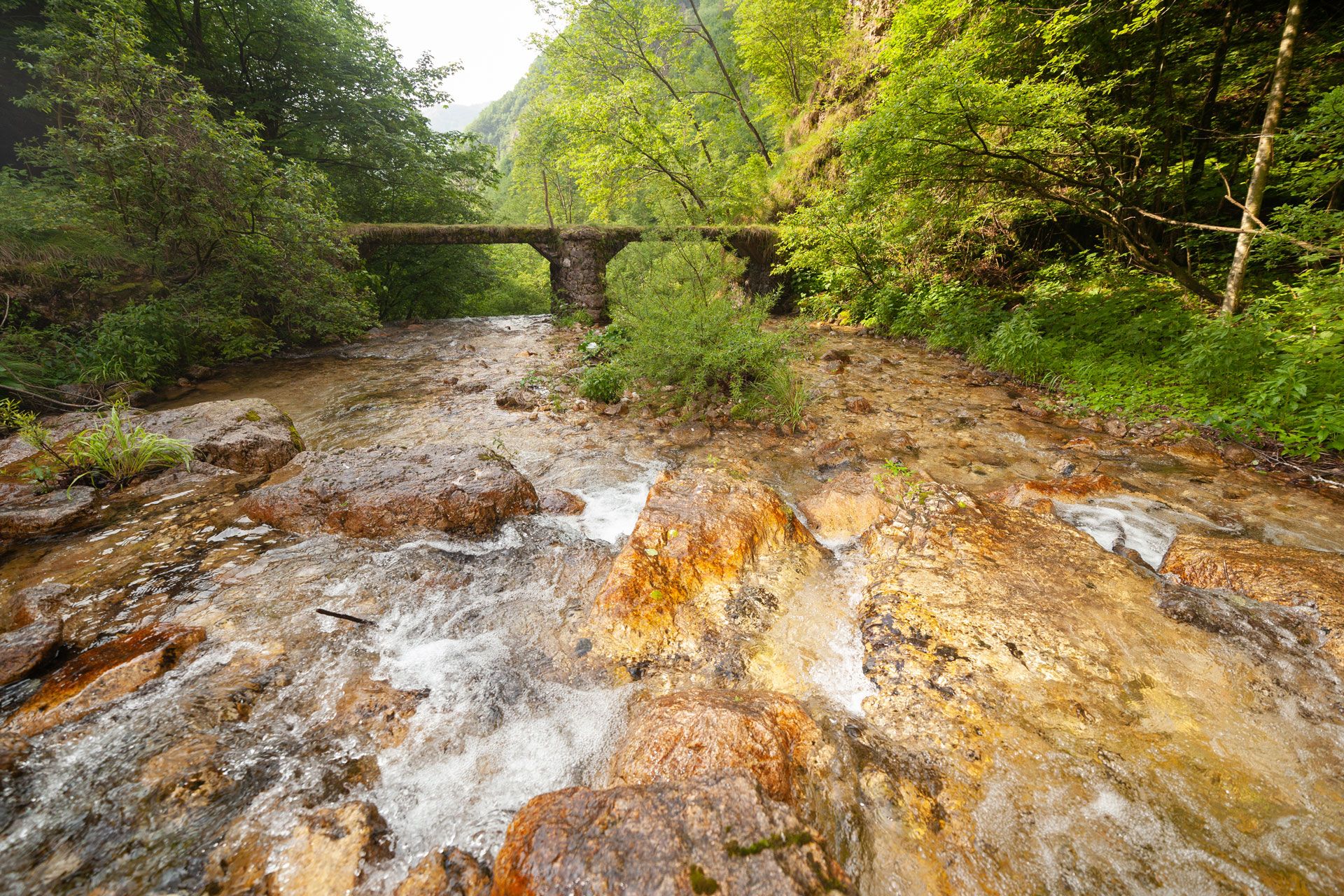 Torrente Chiampo a Campodalbero