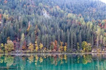Vista autunnale del Lago di Tovel con riflessi d'acqua e alberi colorati, Val di Non, Trentino