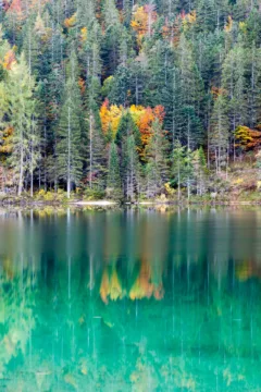 Vista autunnale del Lago di Tovel con riflessi d'acqua e alberi colorati, Val di Non, Trentino