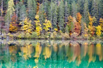 Vista autunnale del Lago di Tovel con riflessi d'acqua e alberi colorati, Val di Non, Trentino