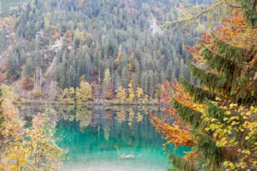 Vista autunnale del Lago di Tovel con riflessi d'acqua e alberi colorati, Val di Non, Trentino