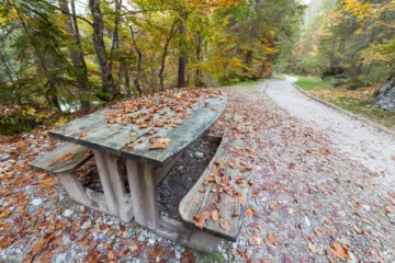 Tavolo da picnic nel bosco con foglie autunnali al Lago di Tovel, Trentino, Italia.