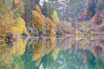 Vista autunnale del Lago di Tovel con riflessi d'acqua e alberi colorati, Val di Non, Trentino