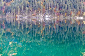Vista autunnale del Lago di Tovel con riflessi d'acqua e alberi colorati, Val di Non, Trentino