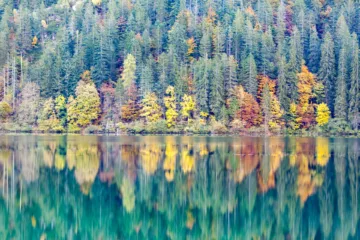 Vista autunnale del Lago di Tovel con riflessi d'acqua e alberi colorati, Val di Non, Trentino