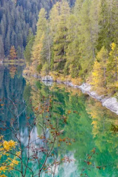Vista autunnale del Lago di Tovel con riflessi d'acqua e alberi colorati, Val di Non, Trentino