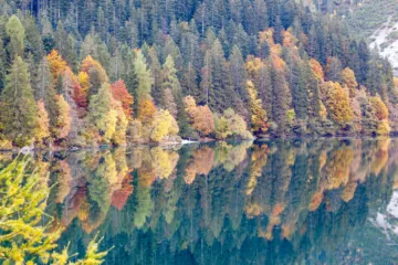 Vista autunnale del Lago di Tovel con riflessi d'acqua e alberi colorati, Val di Non, Trentino