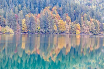 Vista autunnale del Lago di Tovel con riflessi d'acqua e alberi colorati, Val di Non, Trentino
