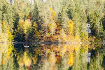 Vista autunnale del Lago di Tovel con riflessi d'acqua e alberi colorati, Val di Non, Trentino
