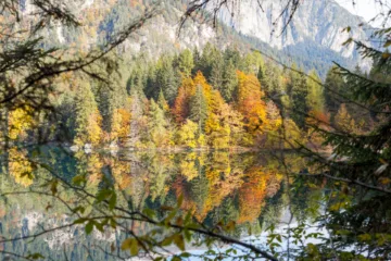 Vista autunnale del Lago di Tovel con riflessi d'acqua e alberi colorati, Val di Non, Trentino
