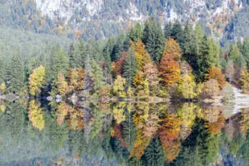 Vista autunnale del Lago di Tovel con riflessi d'acqua e alberi colorati, Val di Non, Trentino