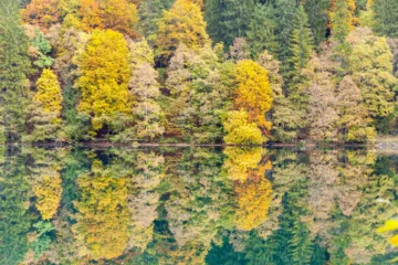 Vista autunnale del Lago di Tovel con riflessi d'acqua e alberi colorati, Val di Non, Trentino