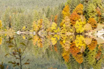 Vista autunnale del Lago di Tovel con riflessi d'acqua e alberi colorati, Val di Non, Trentino
