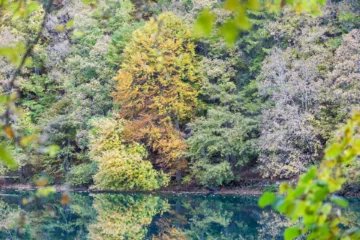 Vista autunnale del Lago di Tovel con riflessi d'acqua e alberi colorati, Val di Non, Trentino