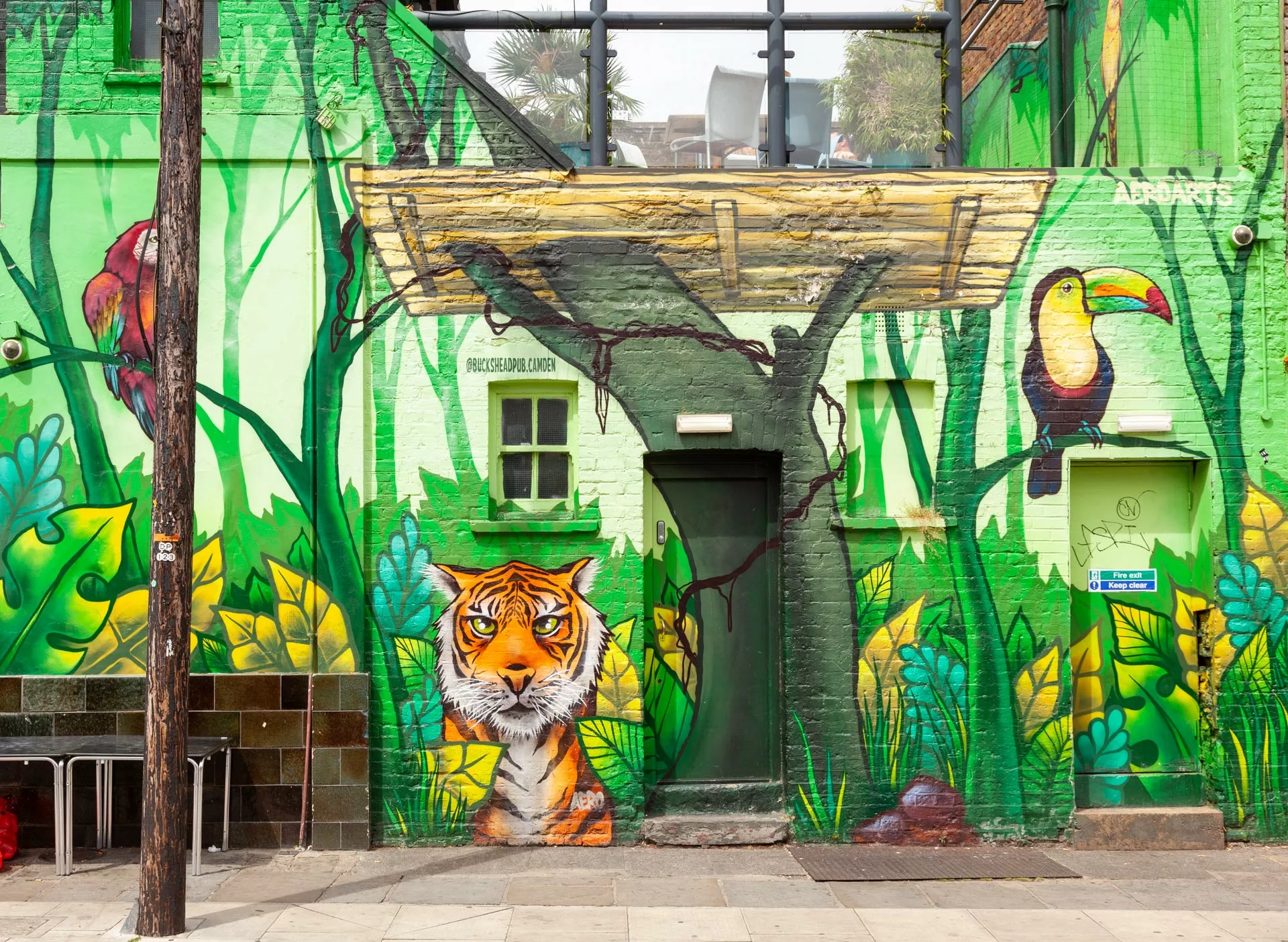 Graffiti su un edificio a Camden Town con immagini di piante ed animali