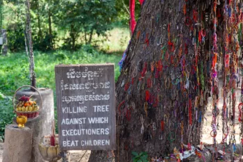 L'albero del Killing Tree, un tragico memoriale dei crimini commessi durante il regime dei Khmer Rossi, con braccialetti lasciati in segno di omaggio.