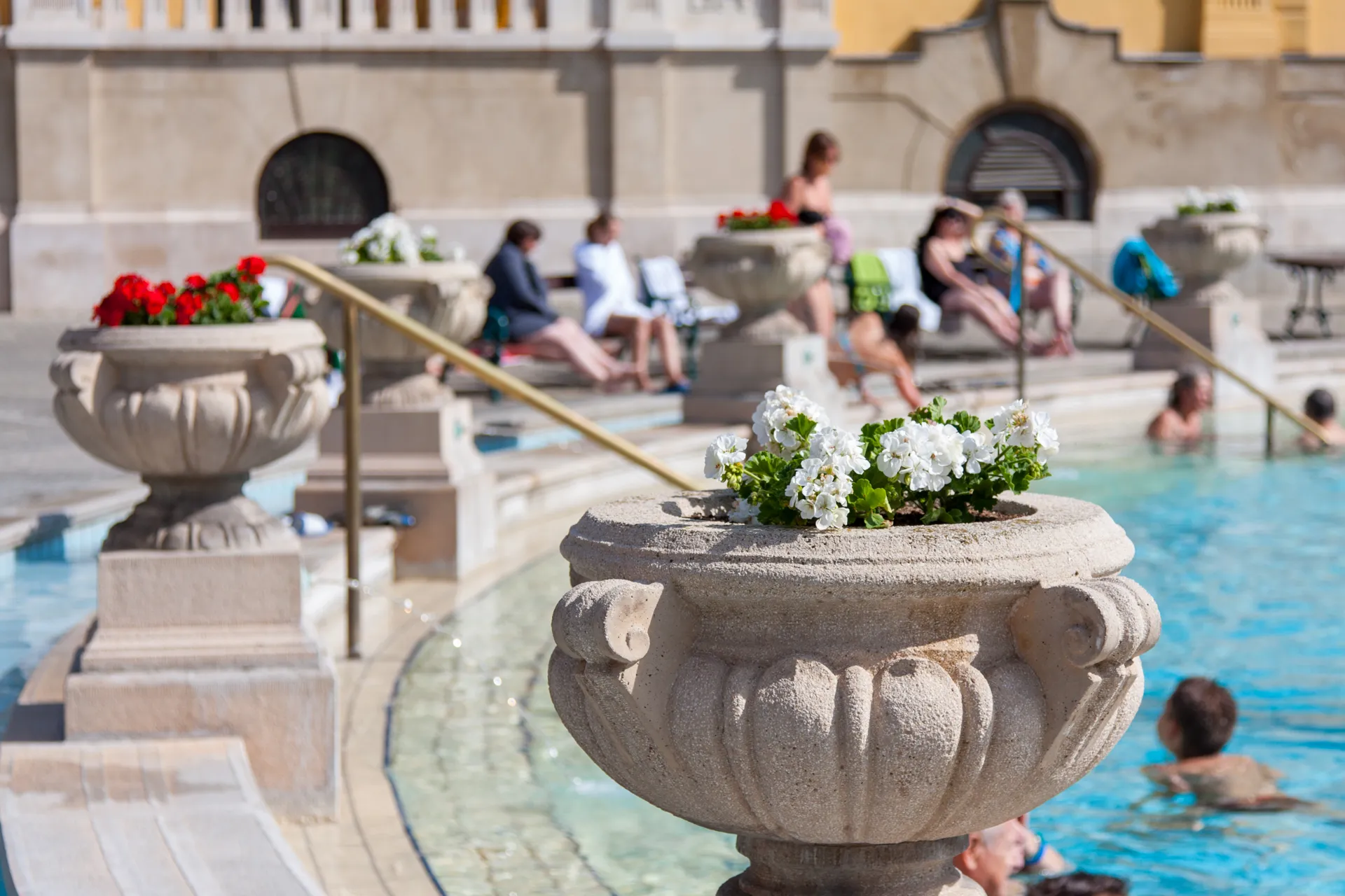 Vaso di pietra con fiori bianchi e piscina termale sullo sfondo ai bagni Szechenyi.