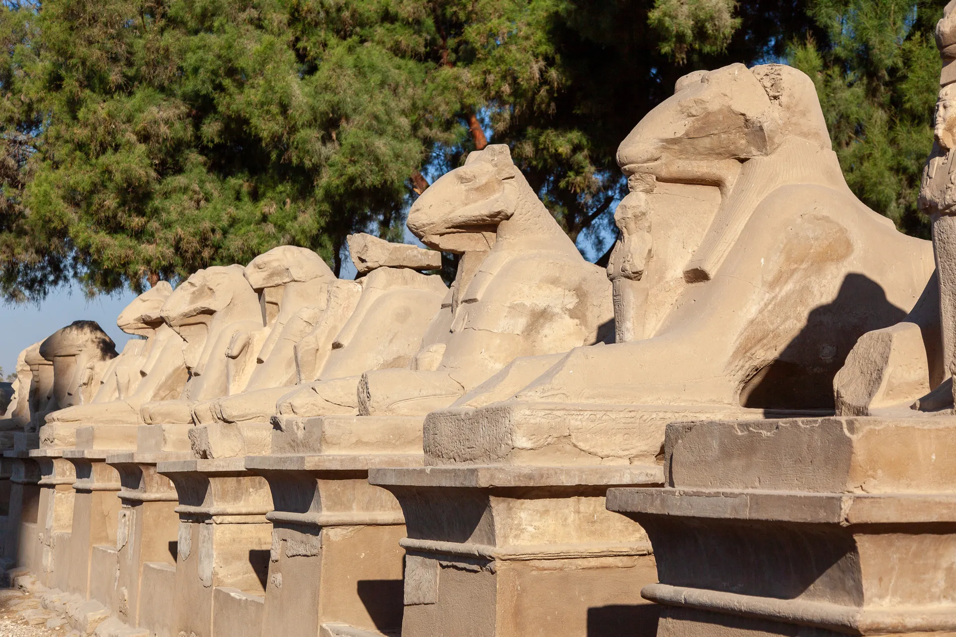 Fila di sfingi con testa di ariete nel viale processionale del Tempio di Karnak.