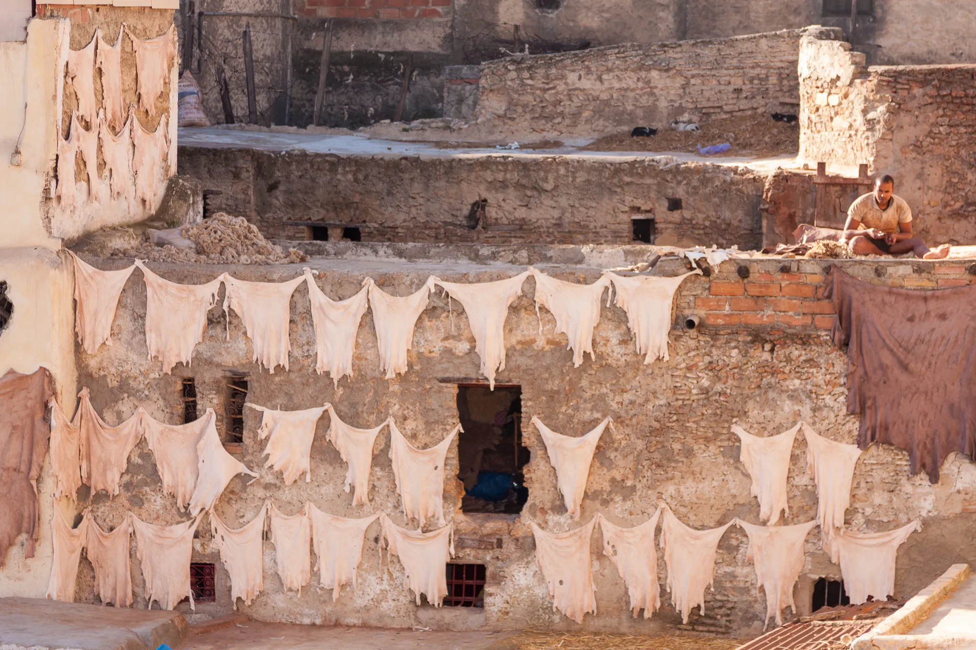 Pelli disposte sui tetti delle concerie tradizionali di Fès.