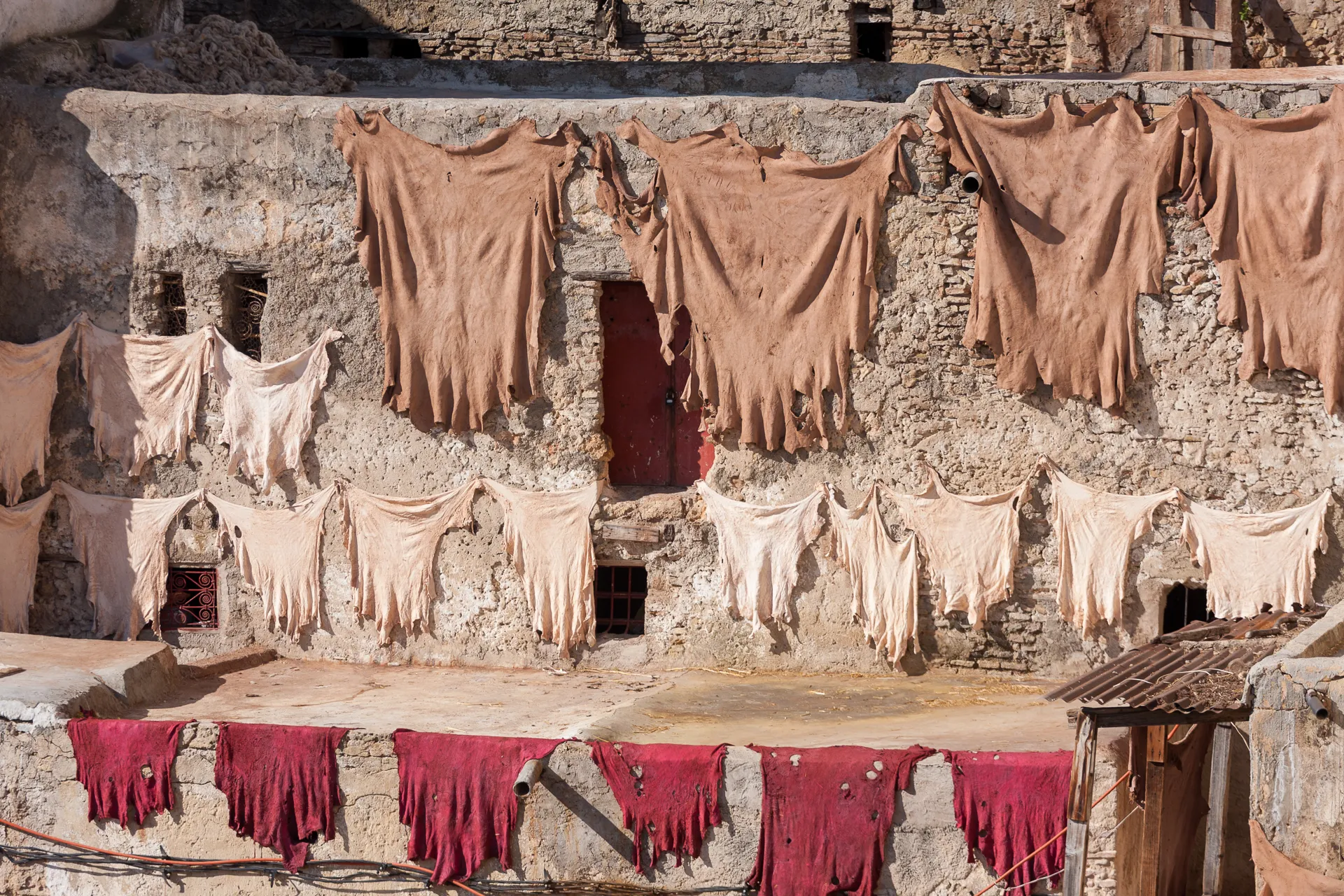 Colorazione delle pelli con pigmenti naturali nelle concerie tradizionali di Fès.