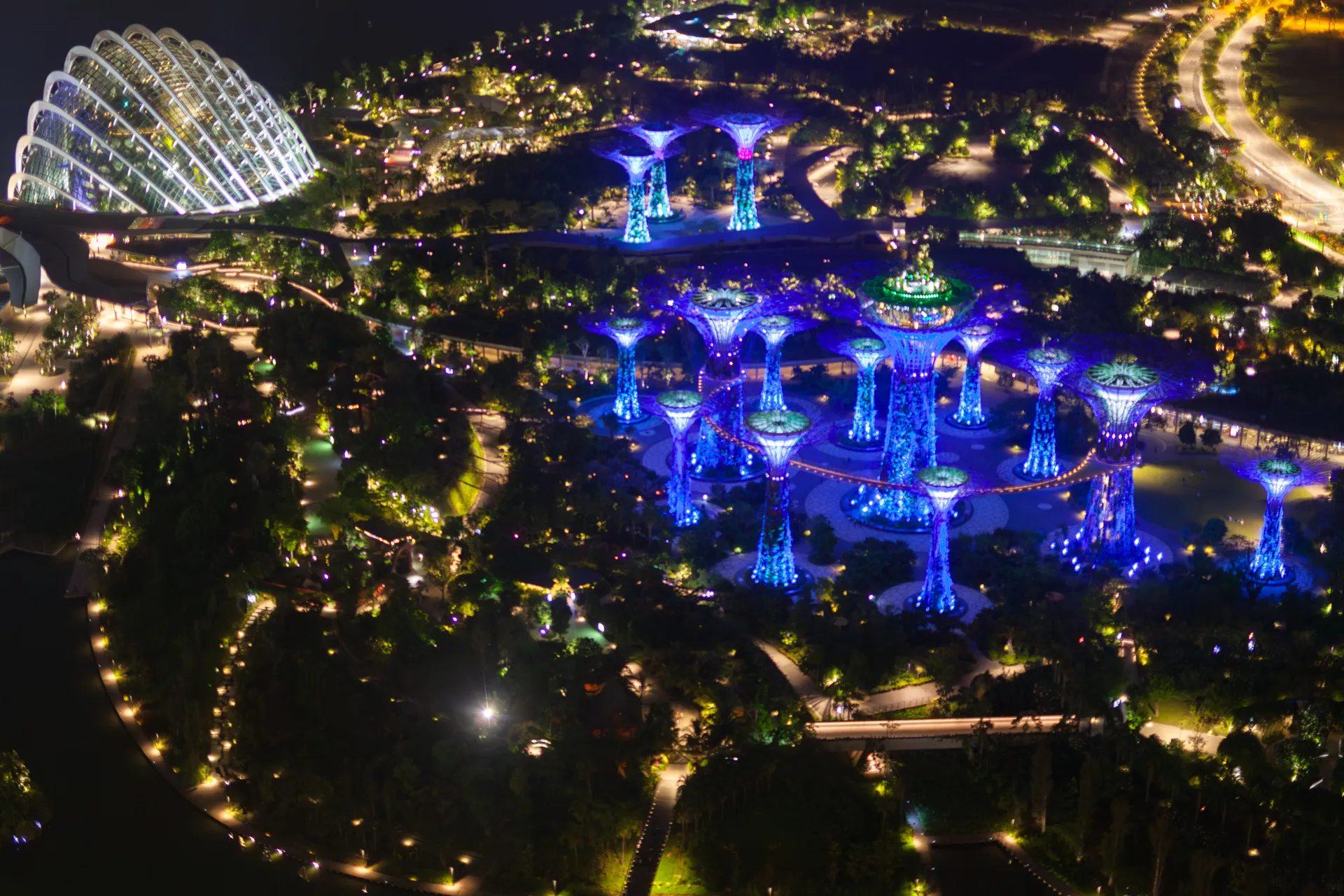 Supertree Grove illuminato di blu e verde a Singapore Gardens by the Bay