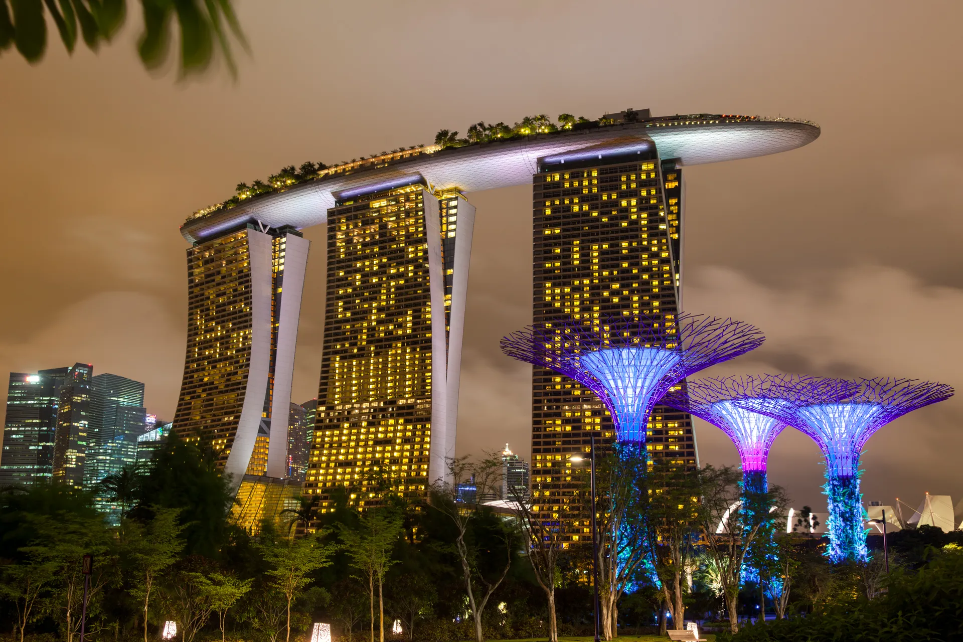 Panorama notturno Marina Bay Sands con skyline e vegetazione e Singapore Gardens by the Bay