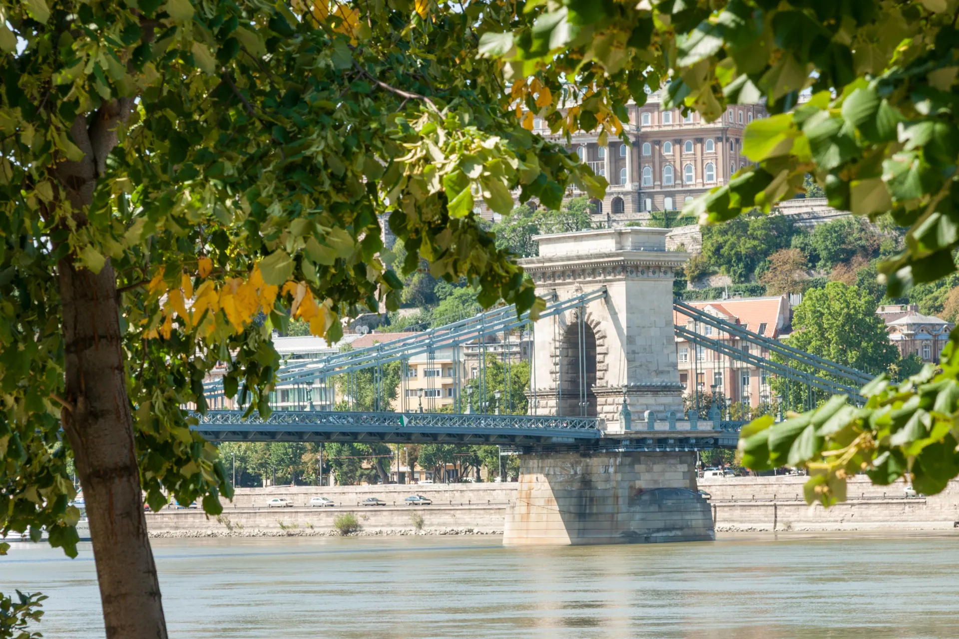 Ponte delle Catene Budapest tra le foglie