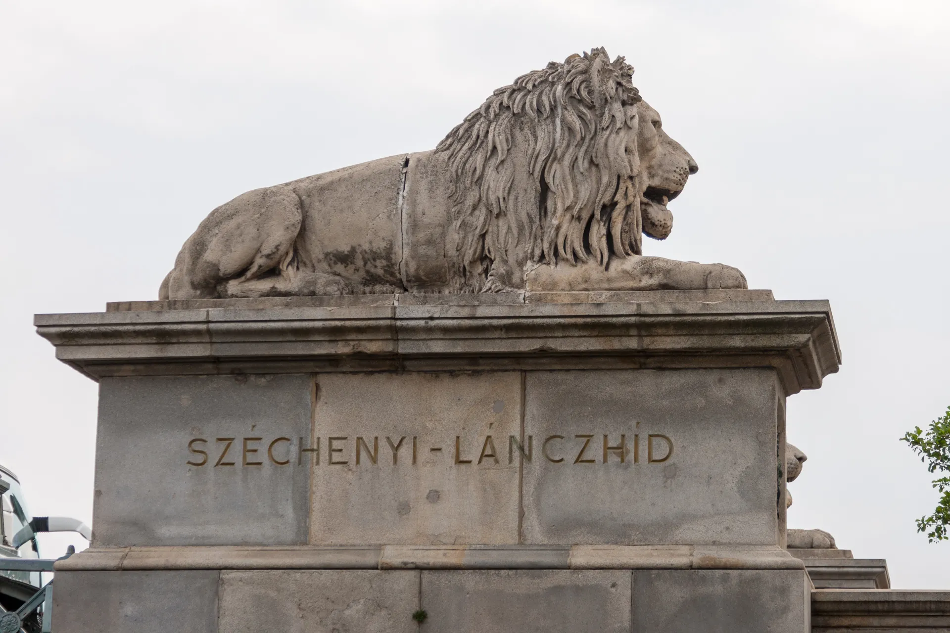 Dettaglio Leone Ponte delle Catene Budapest