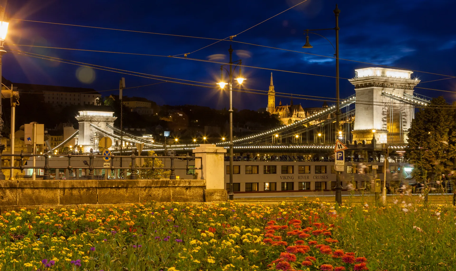 Fiori e Ponte delle Catene Budapest al tramonto