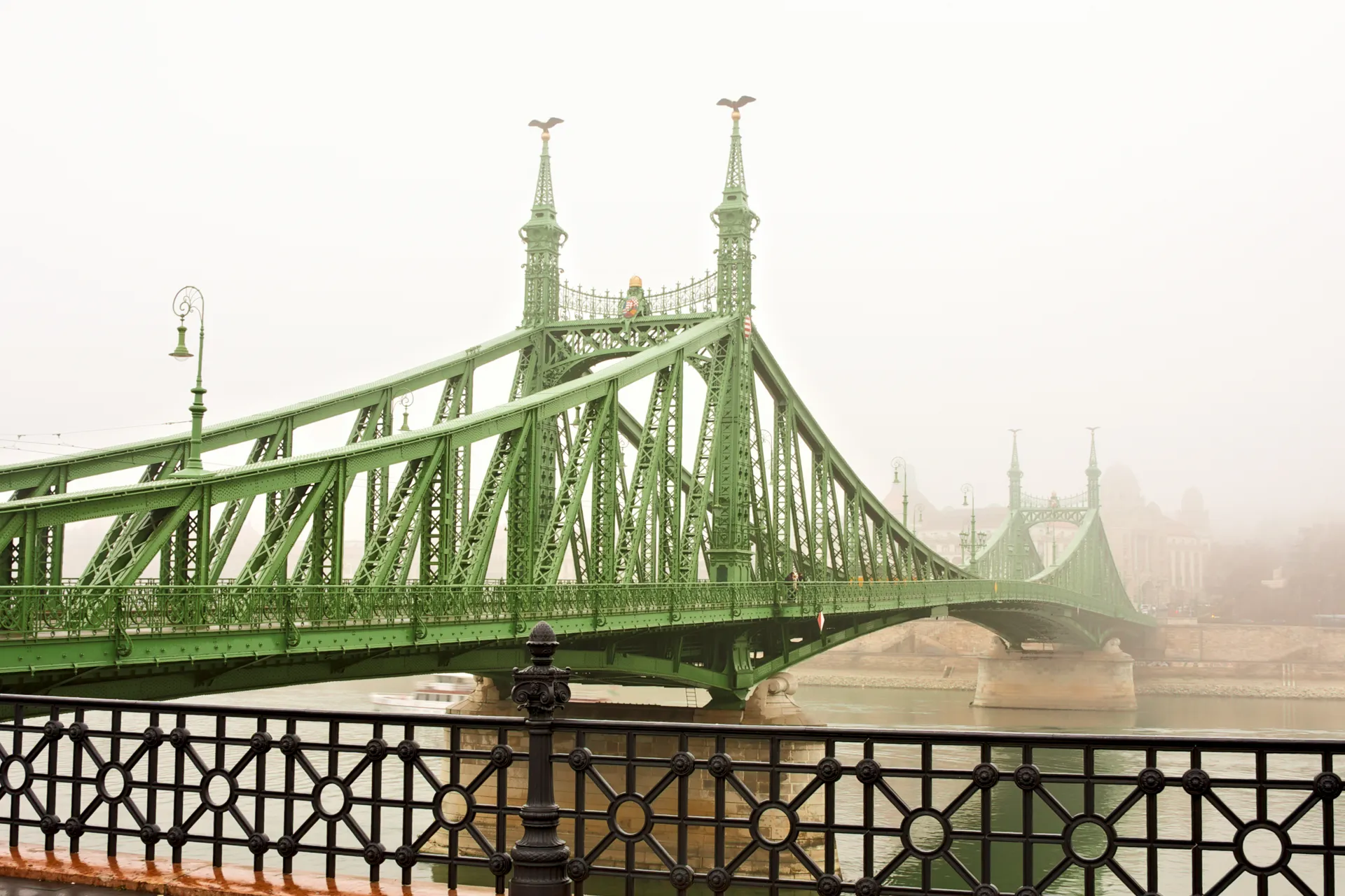 Prospettiva laterale Ponte della Libertà Budapest