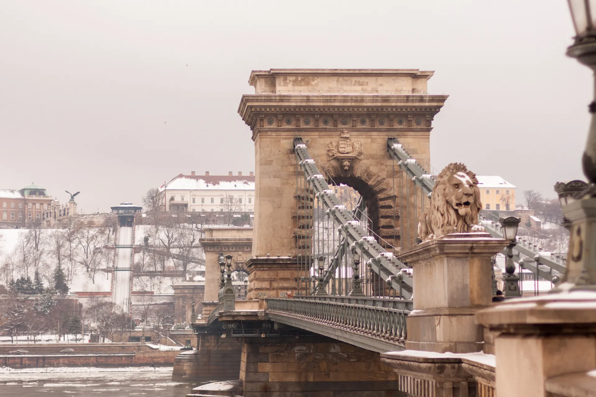 Leone in pietra Ponte delle Catene Budapest